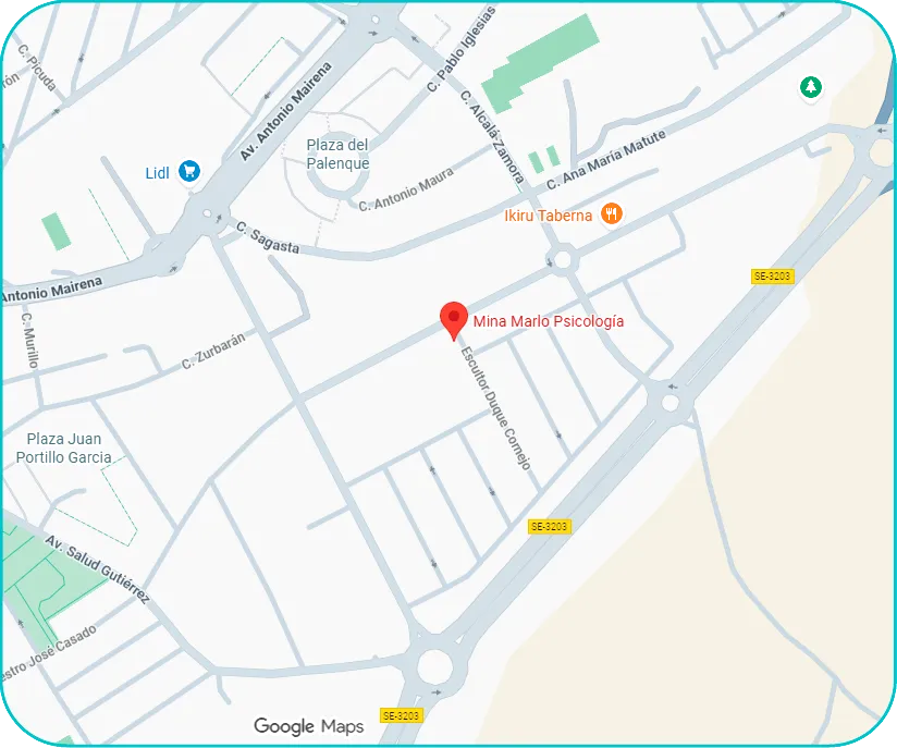 Ubicación de la consulta en Google Maps