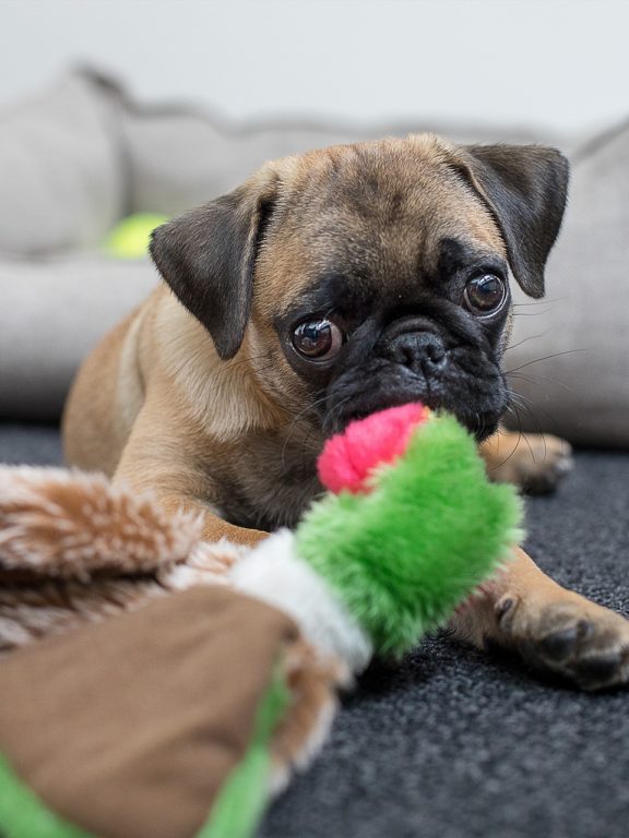 Oh, ¡niños y cuarentena! Recomendaciones para padres y madres.